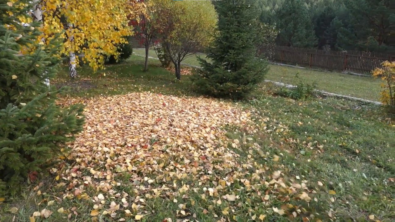 https://petrozavodsk.mslandshaft.ru/storage/app/uploads/public/642/ac5/f22/642ac5f2293e2935715739.jpg